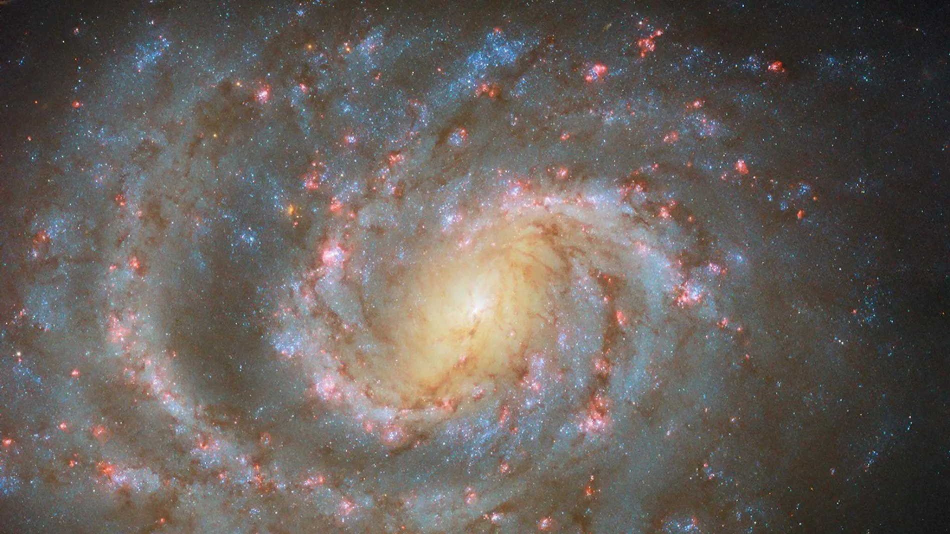 El telescopio Hubble de la NASA logró captar una galaxia en espiral NASA